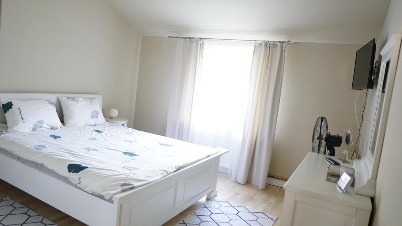Casa Cu Fantana Villa Borlesti Eksteriør billede