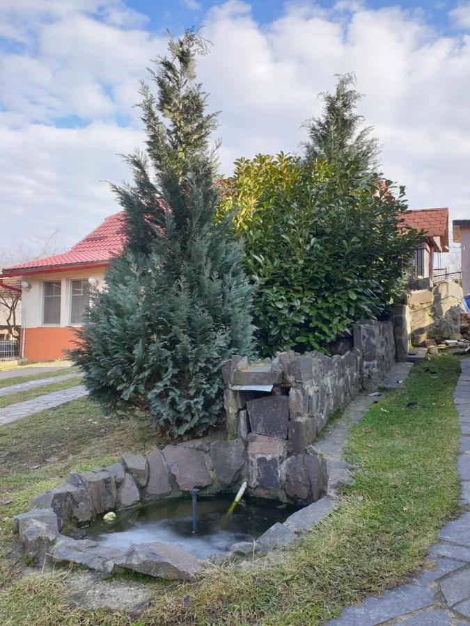 Casa Cu Fantana Villa Borlesti Eksteriør billede